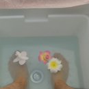 인천대입구역, 송도 마사지 잘하는 곳 아오자이인힐링!