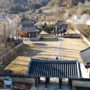 표충비 티스토리
