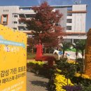 제주의 추억 이미지
