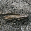 백제가공 이미지