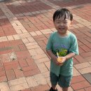 신대부적1어린이공원 이미지