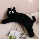 바디