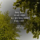 더호감 이미지