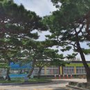 이화초교 정문 이미지