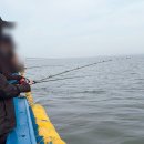 인천 배낚시 추천 반가워호 오전배 후기 우럭 손맛 제대로 보고 왔어요