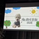 📸아이폰 스냅 디어러브스냅 - 본식 후기 (jk아트컨벤션/엠바루체홀)