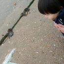 베이비잇 이미지
