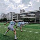 파텔라 이미지