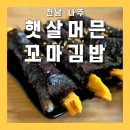 햇살머믄꼬마김밥나주