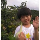 용남농장 Daum카페