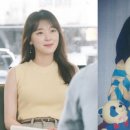 펫미인 이미지