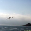 마리아 농장 이미지