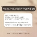 필스텔라