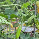 홈당골펜션 이미지