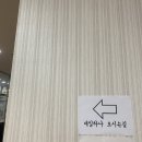 네일하나 이미지