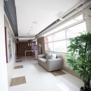 OPD MEDICAL | [필리핀 세부 호텔] 리잘 메모리얼 도서실 앤 박물관 인접한 벨리프론트 호텔[Valleyfront Hotel]
