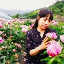 주도리 농장 네이버블로그