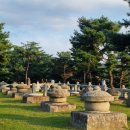 성주당구장 이미지