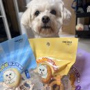 퍼스트독앤캣 | 안심하고 먹이는 오븐베이크 강아지 간식 추천 ㅣ 말랑쫀득! 더독앤캣 미트팝콘링 콤보 키트 후기