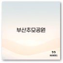 정관읍경로식당 | 부산추모공원 납골당 비용부터 시간, 맛집, 가는 길까지 꼭 알아두세요