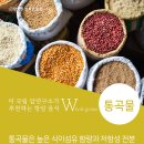호두연구소