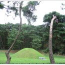 탈해왕릉 Daum카페