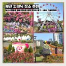 GS25서귀시민공원점 | 부산 피크닉 장소 부산시민공원 봄꽃 전시회 축제 돗자리 들고 나들이 가볼만한곳