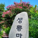 한류콘텐츠 보물창고 광주·전남 종가 재발견 ＜71＞ 광주 북구 금성범씨(錦城范氏) 대종가 이미지