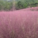 무장농협하나로마트 이미지