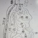 내자식 내가 책임져야 합니다 이미지