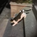 도도약국 이미지