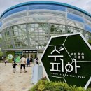 나팔꽃어린이공원 | 부천호수식물원 수피아, 야간개장(18:30) 다녀온 데이트 후기🌱
