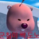 보보 | 제주 성산 신상 도민맛집 보보보쌈 내돈내산 후기