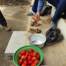 판곡농장 이미지