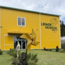 레몬뮤지엄(Lemon Museum)