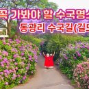동광리-17 티스토리