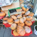 심마니산약초산삼백숙 이미지