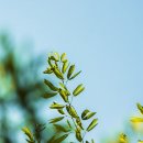 보드게임으로 배우는 영어 이미지