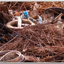 조양설비 이미지