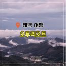 기아오토큐영월점 | 태백 오투리조트 타워 실버 후기와 근처 식당 추천 그리고 레이