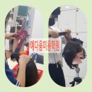 헤어 예다움 이미지