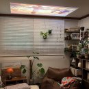 홈시네라이프 이미지