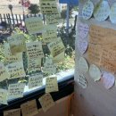 대가흑염소 이미지