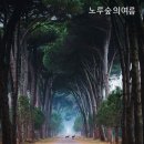 노루숲 이미지