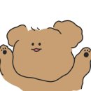 이룸독트레이닝 네이버블로그