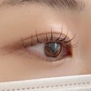 뷰티포인트 | 건대속눈썹 잘하는 곳 찾다가 발견 앳던뷰티, 펌포인트연장 솔직 후기