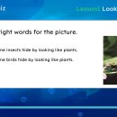 튼튼영어 마스터클럽 이미지