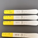 (주)에프앤디넷 밝은미래산부인과점 | 임신일기 03.두번째 초음파 심장 반짝반짝 5주 증상정리ㅣ쓰리라인 임테기 배란 25일차