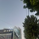 구로리공원 | [대림역 두피관리] 숲칼프 대림점 구로 최강 탈모관리 케어 추천