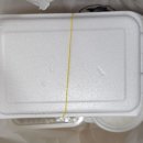 송현동 그집 이미지